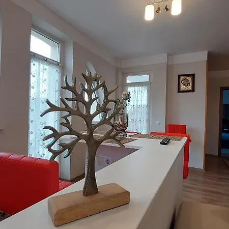 Zen Apartament *