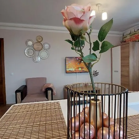Zen Apartament