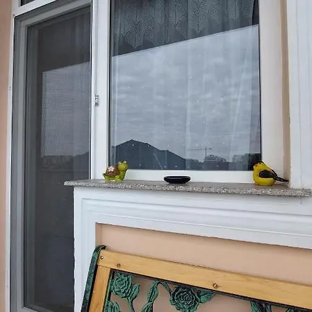 Zen Apartament