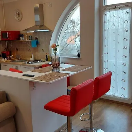 Zen Apartament Brasov